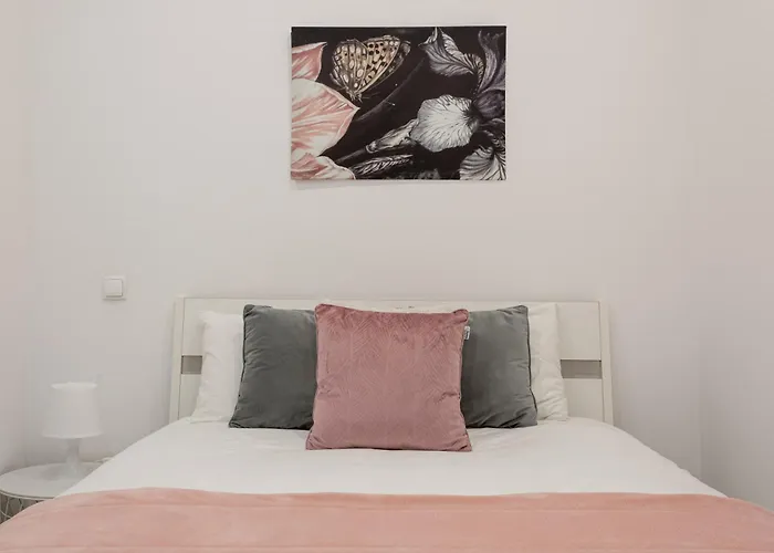 Apartamento Rua Da Senhora Da Gloria 142 1º